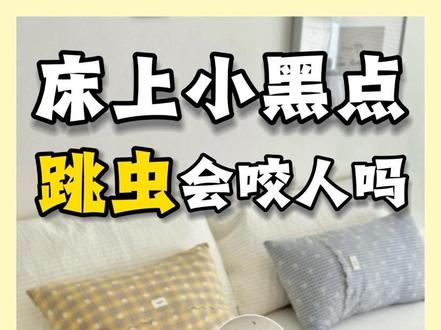 床上小黑点——跳虫,会咬人吗? 答案是不会的。跳虫也叫烟灰虫,是潮湿性居家害虫,跳虫没有叮咬人的口器,但虫子偏爱阴暗潮湿环境,体表携带大量细菌真菌,极易引发皮肤过敏瘙痒。跳虫并不滋生在床上,源头多在卫生间、墙面、墙角缝隙、踢脚线、地板都是高发区域,虫子顺着墙体攀爬至床铺。跳虫繁殖速度极快,短时间内就会大批量爆发,每到夜晚格外活跃,人躺上床后,虫子会不停往人身上蹦跳。床上出现跳虫一定要及时消灭,处理方式:除霉除湿保存环境干燥,再用专用药剂喷洒墙缝、踢脚线、床底,干透形成隐形药膜,虫子接触就能被触杀,药剂无色无味,卧室床铺都可以喷。
#跳虫 #床上小黑点虫子 #跳虫会咬人吗 #跳虫杀虫剂 #消灭跳虫最快的方法