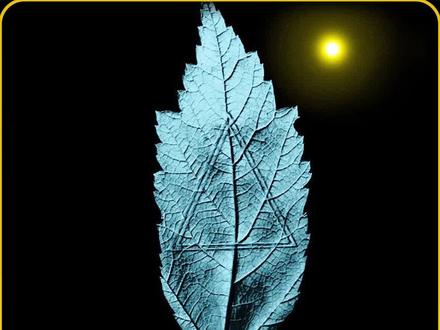 飞机失事,贝爷重新出山,事情远没有那么简单#影视解说 #悬疑 #宅家dou剧 @DOU+小助手