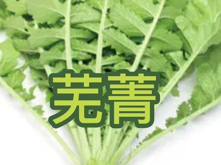 以后不要把叶子也扔掉呀~
#干货 #芜菁 #营养 #创作灵感