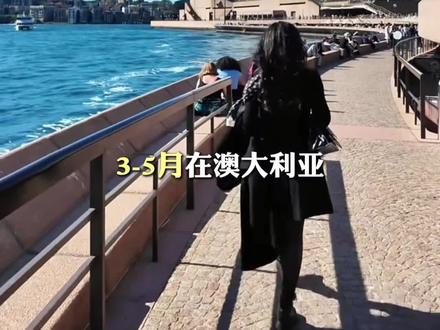 来澳洲可以不去悉尼,但一定要来这里 #塔斯马尼亚 #塔州 #塔斯马尼亚旅游 #袋熊 #澳大利亚旅游