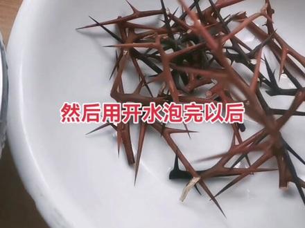 皂角刺的功效自己百度,有一段时间没吃,现在重新坚持…