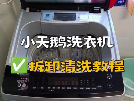 小天鹅波轮洗衣机,拆卸清洗教程,视频有点长,建议点赞收藏保存#波轮洗衣机 #洗衣机清洗教学 #DOU➕小助手