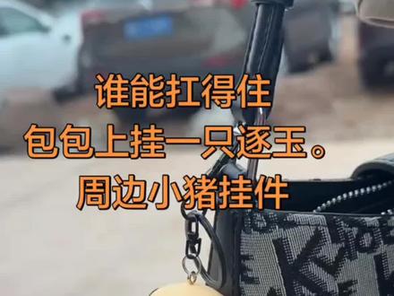 逐玉张凌赫田曦薇同款小猪惊堂木长玉同款可爱小猪#逐玉 #张凌赫 #田曦薇 #挂件 #玩个很新的东西