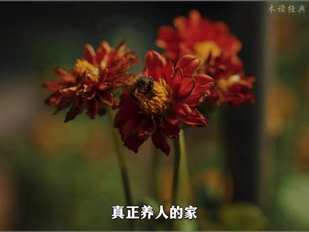 一个家庭最好的状态:干净是标配、烟火是高配、书香是顶配!