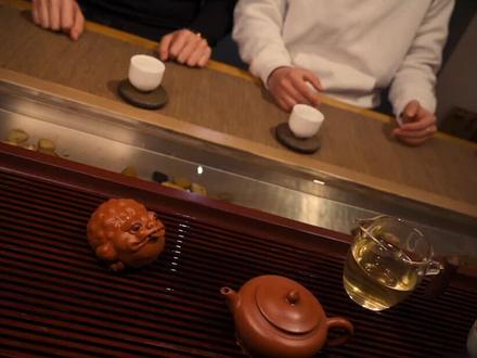 出去喝茶,这个动作不要有,茶宠认主#茶桌礼仪 #茶礼仪