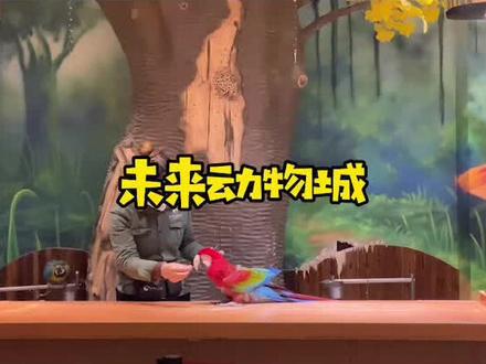 漫乐城的动物园上抖音啦!两大两小才6⃣️8⃣️,两小只开心坏了😄#周末去哪玩 #跟着抖音去探店 #喂动物 #同城热门 @抖音小助手