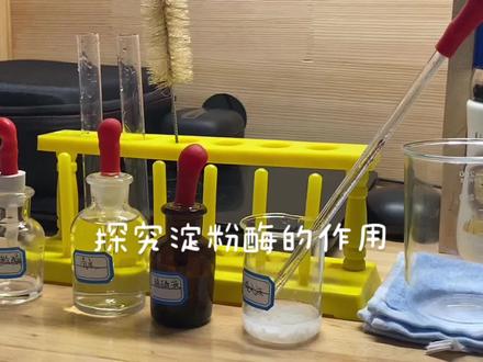 #上热门 生物实验考试C组
探究淀粉酶的作用