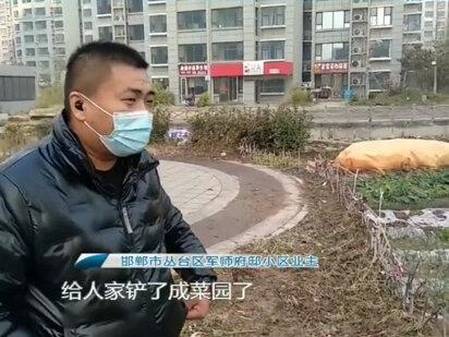 邯郸市丛台区军师府邸小区环境脏乱差不说,一楼底商还随意的私搭乱建简易棚,严重影响了居民的生活。