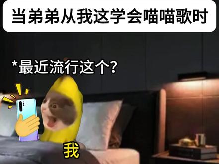 当弟弟从我这学会喵喵歌时 #猫meme #猫meme小剧场 #搞笑 #抽象 #内容过于真实
