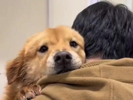 世界只有一个莲梅 #骏良 #莲梅 #内容启发搜索