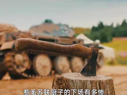 惹毛苏联厨子的下场有多惨,伙头兵仅凭一把斧头干翻德军坦克! #战争电影