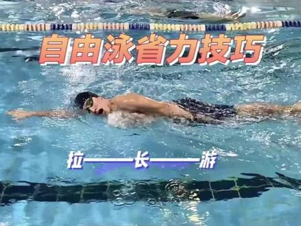 【自由泳省力技巧】拉长游!让你游得更快更轻松!#自由泳 #零基础学游泳 #燃脂的一百种方式 #一起来玩水