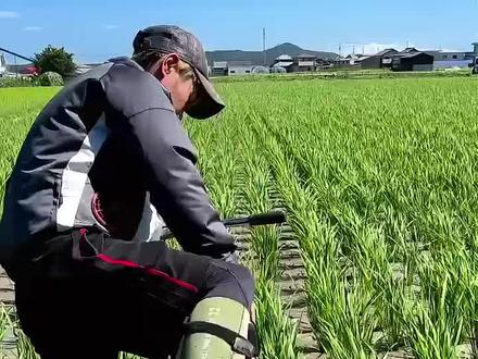 地地道道的勤劳人民的智慧