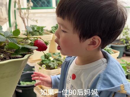 没想到坚持在家盆栽果树,可以让我的宝宝一年四季都有水果吃,这也太幸福了吧#种植的乐趣 #蓝莓种植