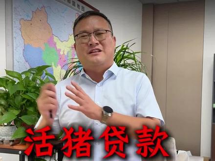 #生猪抵押贷款 #养猪有新融资渠道#养猪行业盈利模式