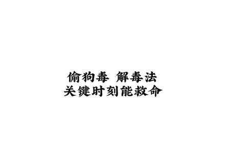 偷狗人下的药,其实都有常见的解救相关物品#狗狗#萌宠