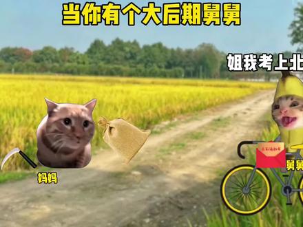 别急!等舅舅发育会 #猫meme#猫meme小剧场#舅舅#三国杀小游戏#三国杀火栗全开