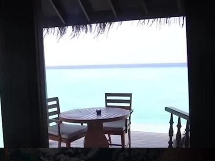 为什么情侣都青睐水床#十万个为什么 #未解之谜 #情侣