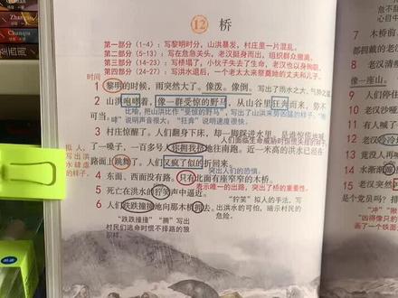 六年级第12课《桥》课堂笔记