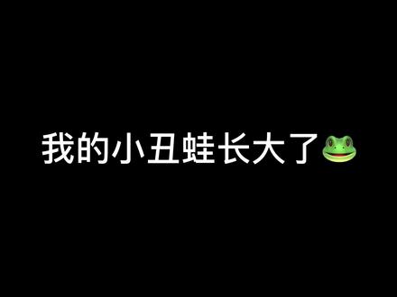 养别的宠物是因为可爱 养小丑蛙是想让它生气😂#小丑蛙 #水族 @嘉哥的宠物乐园🐑
