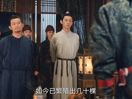 人面花竟是他种的#唐朝诡事录 #精彩片段