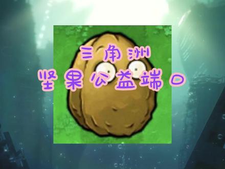 坚果公益端口 #端口 #root #内核