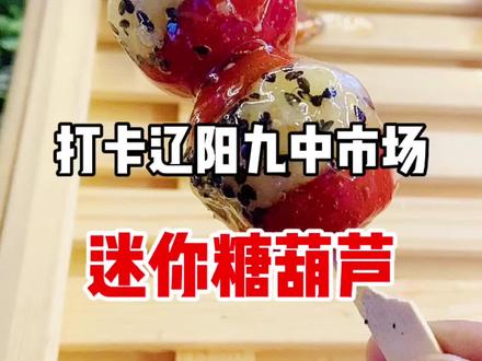 辽阳也可以安排迷你糖葫芦啦#美食探店 #辽宁美好推荐官 #辽阳美食 @抖音美食