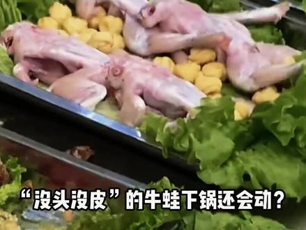 牛蛙养殖到底有多疯狂?高密度养殖还洒药,真能放心吃吗?#万物科普 #牛蛙 #养殖 #神经反射