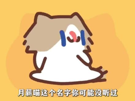 你可能没见过这只喵 但你一定看过它的舞 #月薪喵 #表情包 #充能计划 #动漫编年史 #动漫推荐