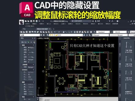 cad鼠标滚轮放大和缩小设置;cad滚轮缩放幅度如何修改#cad教程 #室内设计 #施工图