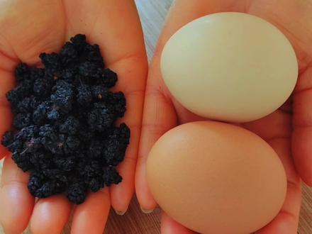桑葚干加鸡蛋,好处拿钱都难买,解决很多女性朋友大烦恼,收藏了