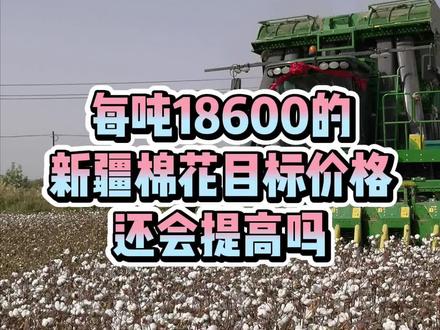 每吨18600的新疆棉花目标价格还会提高吗#棉花 #棉花价格 #新疆 #棉花高产 #抖音小助手