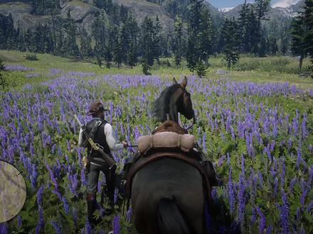 #荒野大镖客2 1660S画面设置!稳定60帧#steam游戏 #高画质 #单机游戏 #主机游戏