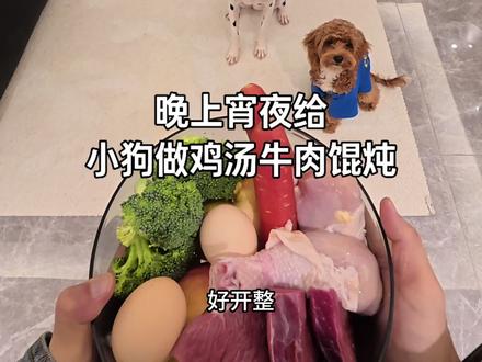 晚上宵夜给小狗做鸡汤牛肉馄炖! #宠物vlog #自制狗饭 #友望u300max扫地机 #友望扫地机器人 #萌宠