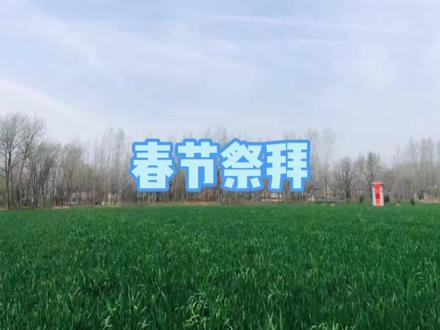 春节祭拜逝去的亲人,是怀念,是感恩,也是传承懿德的仪式 #缅怀亲人 #春节