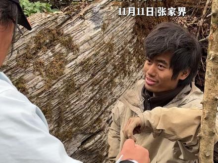 11月11日|张家界 张家界七星山荒野求生挑战赛体检结果来了!非常遗憾!荒野林北…#荒野求生