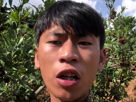 666最后出问题还是农民当着#张九一