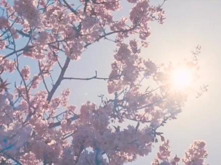 再读《简爱》:“她很迷人,因为她很擅长做自己”#经典文学 #好书分享