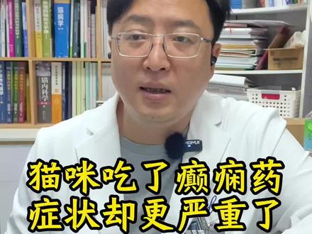 猫咪癫痫病例:吃了药却更严重了