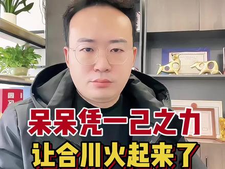 呆呆凭一己之力,让合川火起来了!#合川文旅#呆呆 #刨猪汤 #过年 #重庆合川