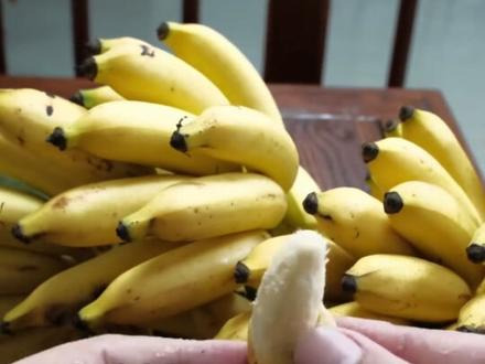 这些迷你小水果,大家都有吃过吗?#植物科普 #迷你水果 #小水果 #大自然的馈赠 #涨知识