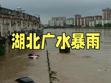 湖北广水遭遇暴雨,部分低洼处被淹 湖北广水遭遇暴雨,部分低洼处被淹#湖北 #广水