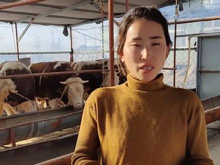 栓养育肥牛的牛床这样铺!#农场日记 #我的养殖生活 #养牛致富 #育肥牛