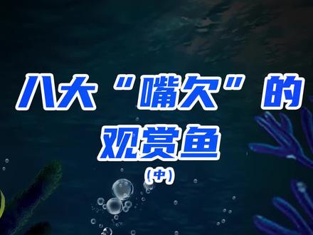 个人觉得曼龙鱼好看是好看,但是嘴巴是真的“嘴贱”把别的小鱼欺负的#水族 #鱼缸 #热带鱼 #曼龙鱼 #鱼