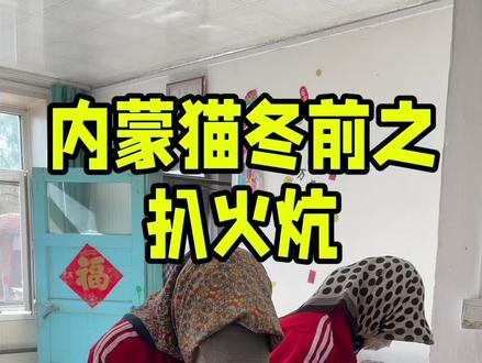 内蒙猫冬前准备之扒火炕 #抖音商城 #东北猫冬生活 #三农 #农村原创视频 #东北农村日常生活视频 @抖音小助手 @DOU+小助手 你们体验过东北的大火炕么?