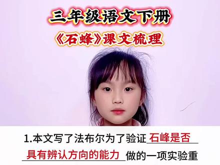 三年级语文下册 第三单元课文《石蜂》课文梳理#小学语文 #语文知识点 #语文知识分享 #每天学习一点点