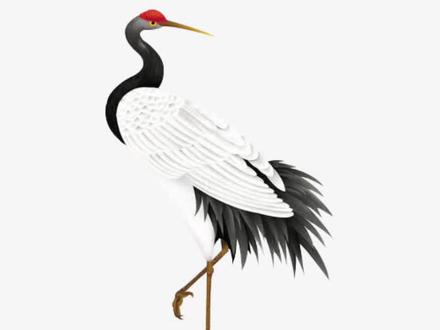 24段魔尺仙鹤的折法#百变魔尺 #动手动脑 #益智玩具 #魔尺教程 #魔尺24段玩法大全
#魔尺男孩 @亲子英语成长记