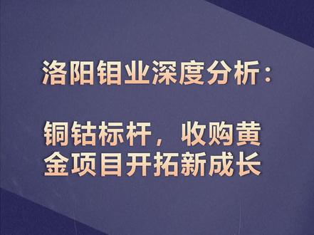 洛阳钼业深度分析:铜钴标杆,收购黄金项目开拓新成长 #洛阳钼业 #铜 #黄金 #股票 #投资