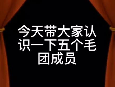 五个毛团成员问候在场各位👏@五个毛 #尼卡 #五个毛