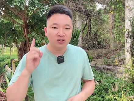 打开广告分成开关你就会有收益#自媒体 #经验分享 #吸引力法则 #教程 @DOU+小助手